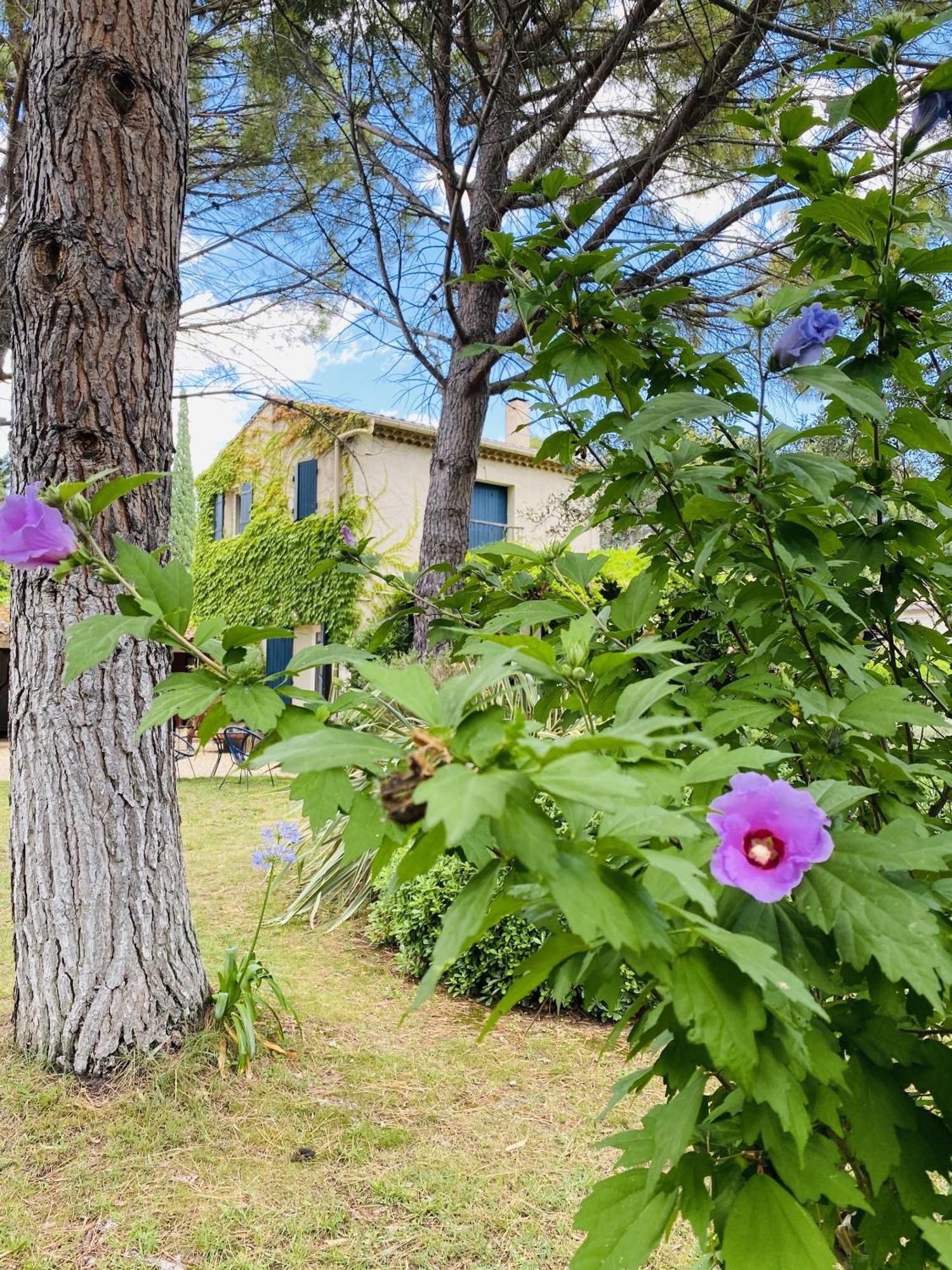 Mas La Pauline Gites De Charme & Roulotte Saint-Rémy-de-Provence Exterior foto